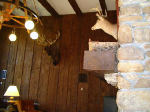 DSC00102.JPGres.JPG